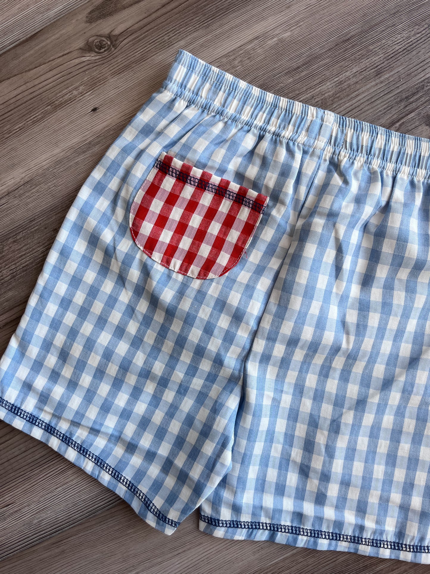 SCHIFFLY GINGHAM SWIM TRUNKS